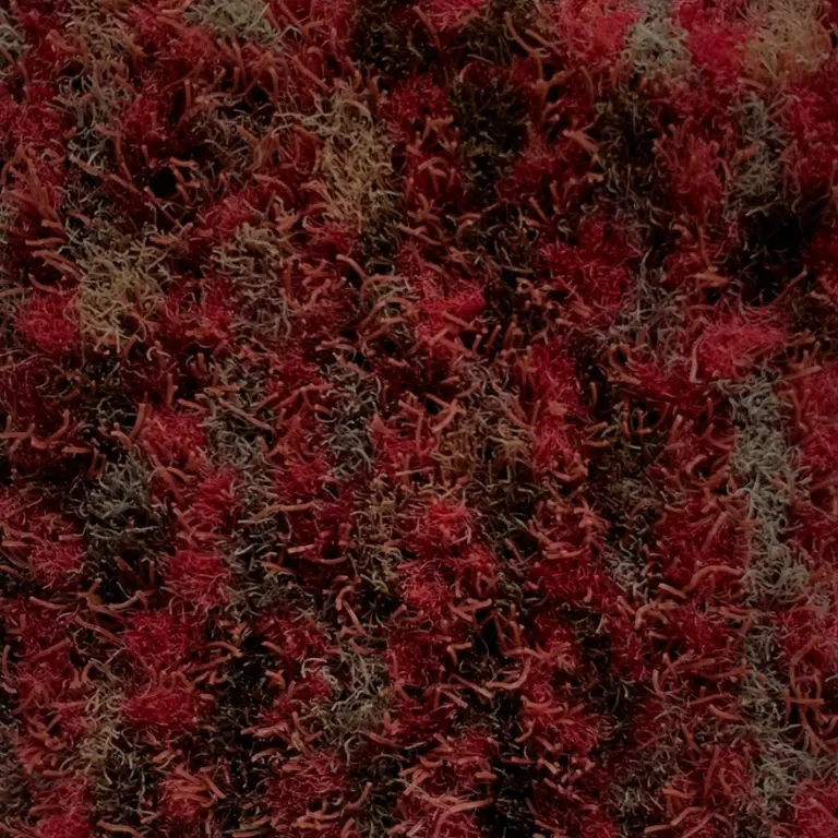 Coral 5909