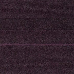 12820 Purple Patch