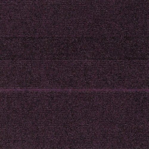 12820 Purple Patch